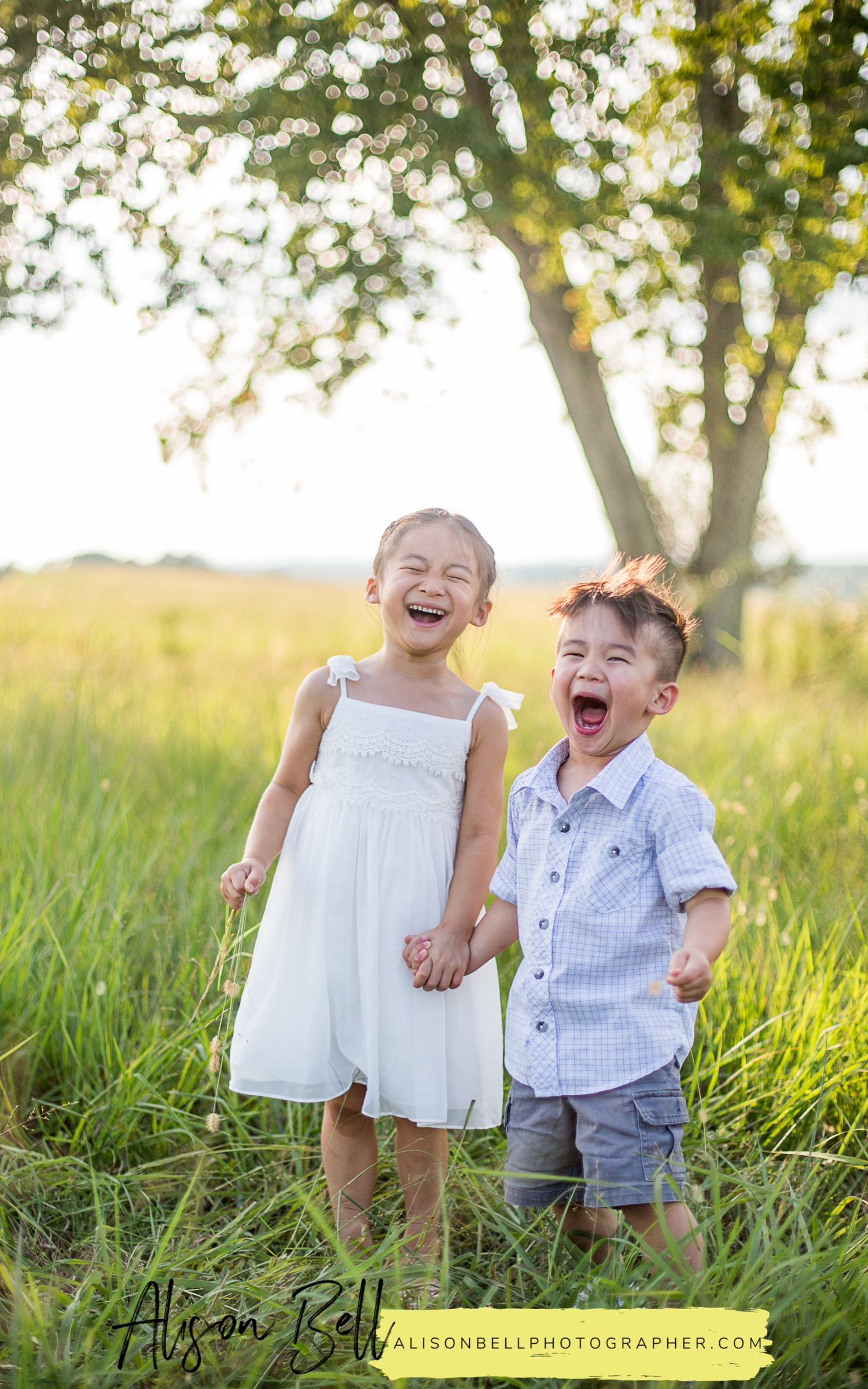Half Priced mini family session at Manassas Battlefield, Virginia by Alison Bell, Photographer. Family photographer, family photography, Northern Virginia, NOVA, #alisonbellphotog alisonbellphotographer.com