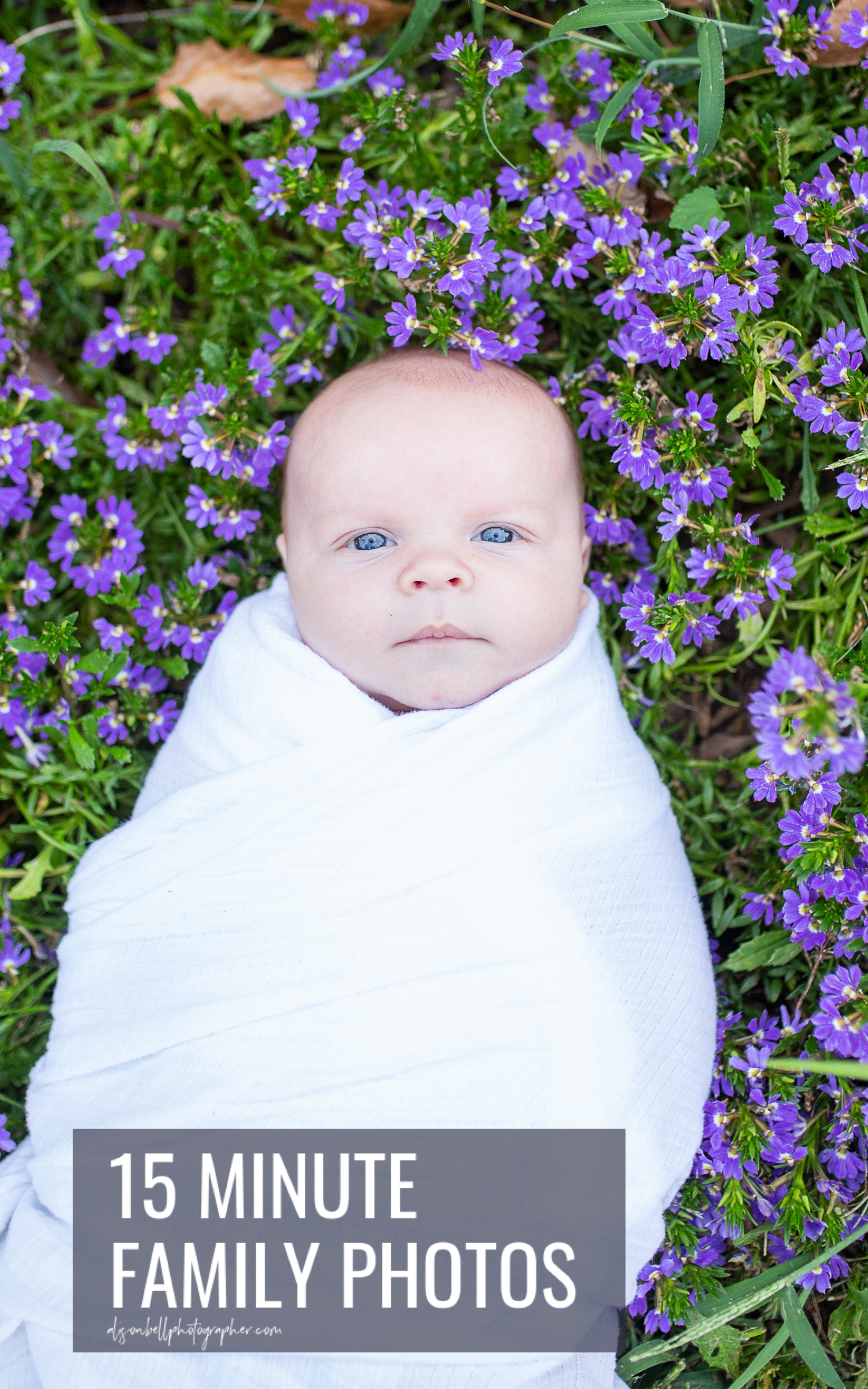 Half price family mini sessions at Chatham Manor in Fredericksburg, VA. Northern Virginia family photographer, Alison Bell. Quantico. Woodbridge, Stafford.