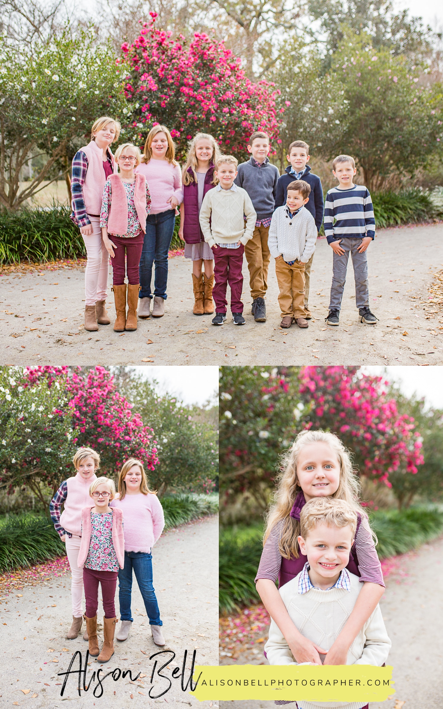Extended family photography session in Hampton Park, Charleston South Carolina by Alison Bell, Photographer