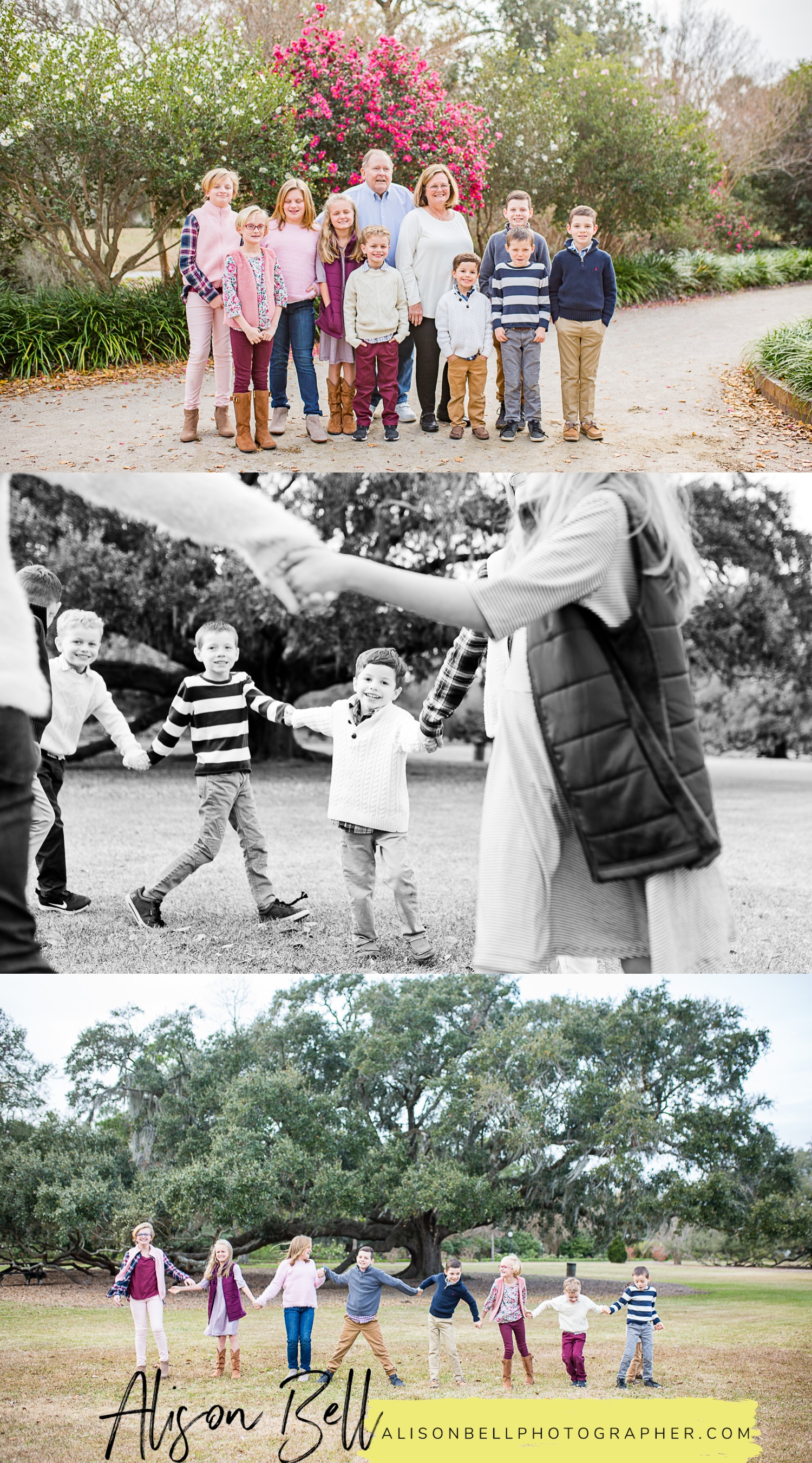 Extended family photography session in Hampton Park, Charleston South Carolina by Alison Bell, Photographer
