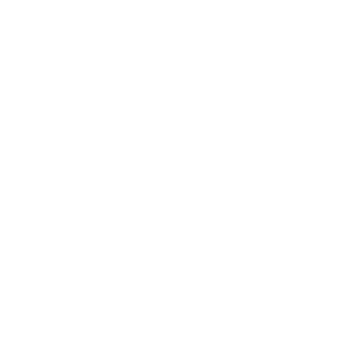 Alison Bell, Photographer