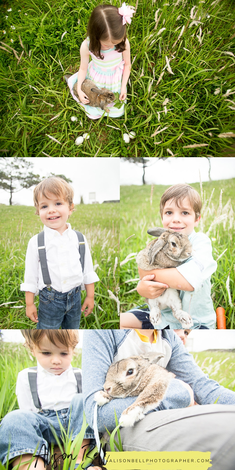 Mini session photography with a live bunny for easter by Alison Bell Photographer