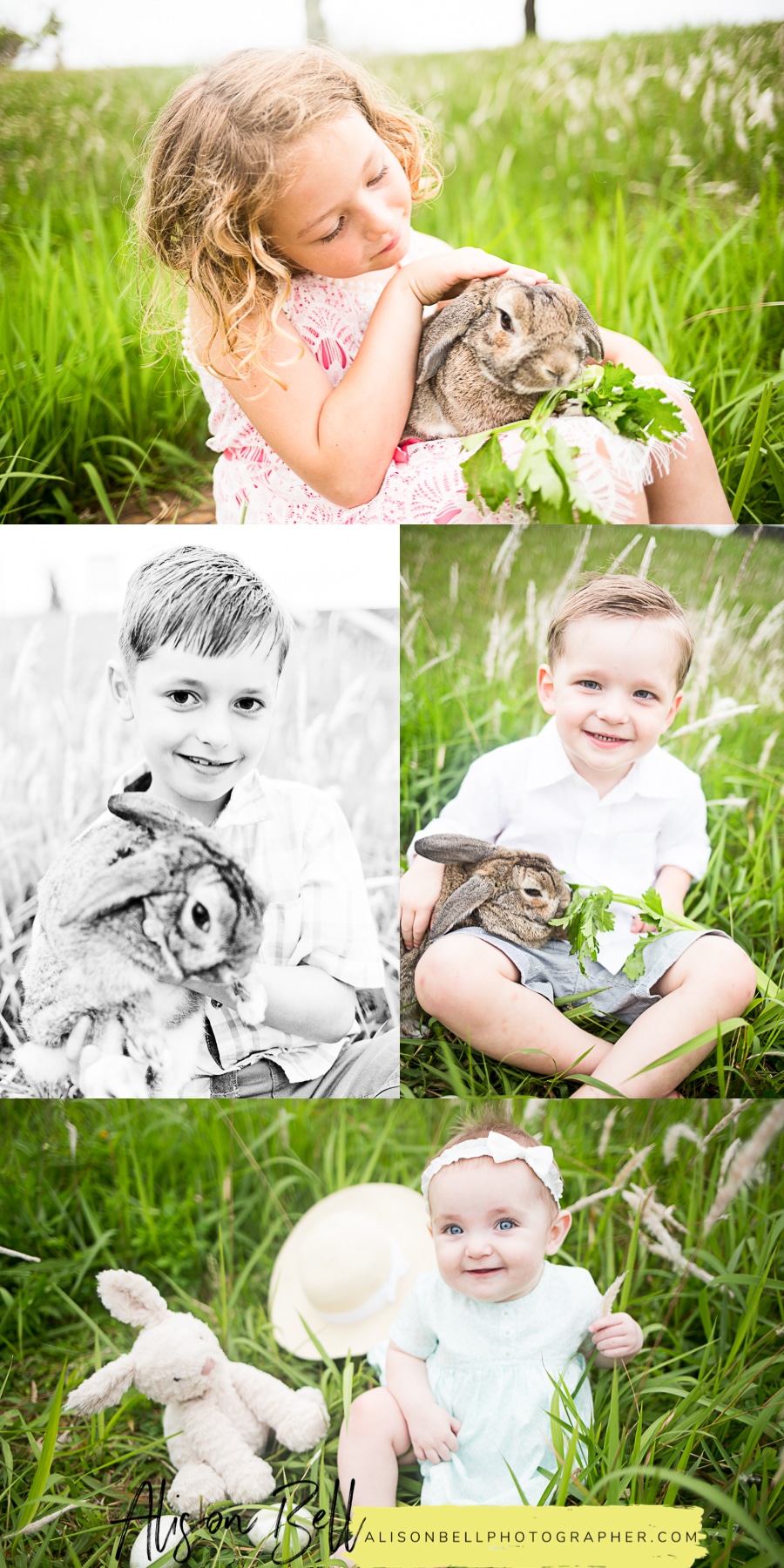 Mini session photography with a live bunny for easter by Alison Bell Photographer