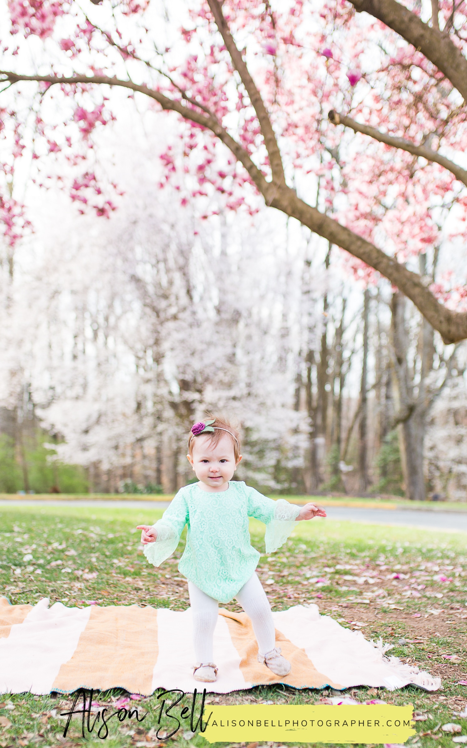 Half Price Family Mini Sessions on Marine Corps Base Quantico with Spring saucer magnolia blossoms by Alison Bell, Photographer. Baby's girl's first birthday. Alisonbellphotographer.com