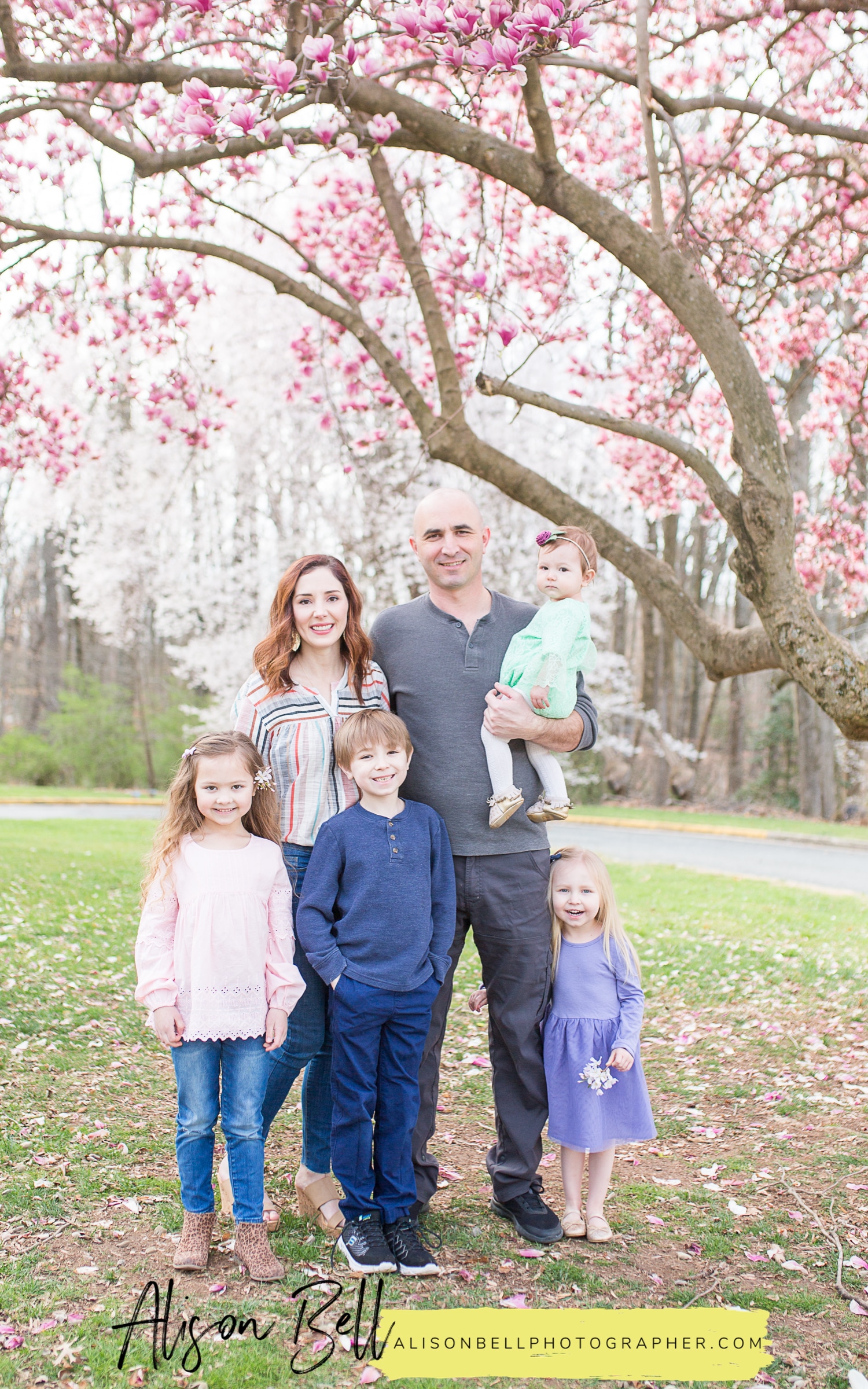 Half Price Family Mini Sessions on Marine Corps Base Quantico with Spring saucer magnolia blossoms by Alison Bell, Photographer. Alisonbellphotographer.com