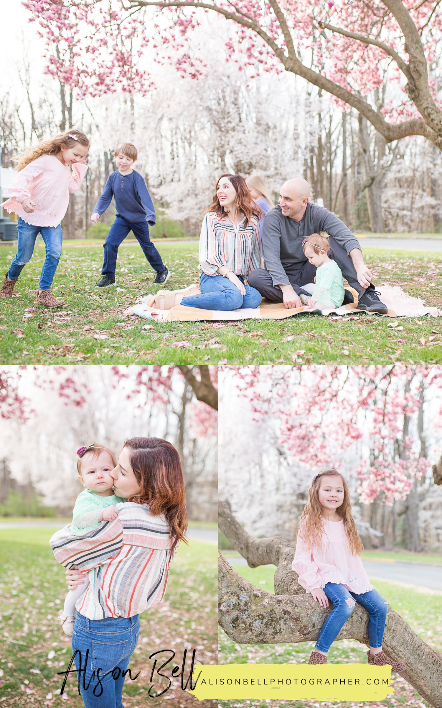 Half Price Family Mini Sessions on Marine Corps Base Quantico with Spring saucer magnolia blossoms by Alison Bell, Photographer. Alisonbellphotographer.com