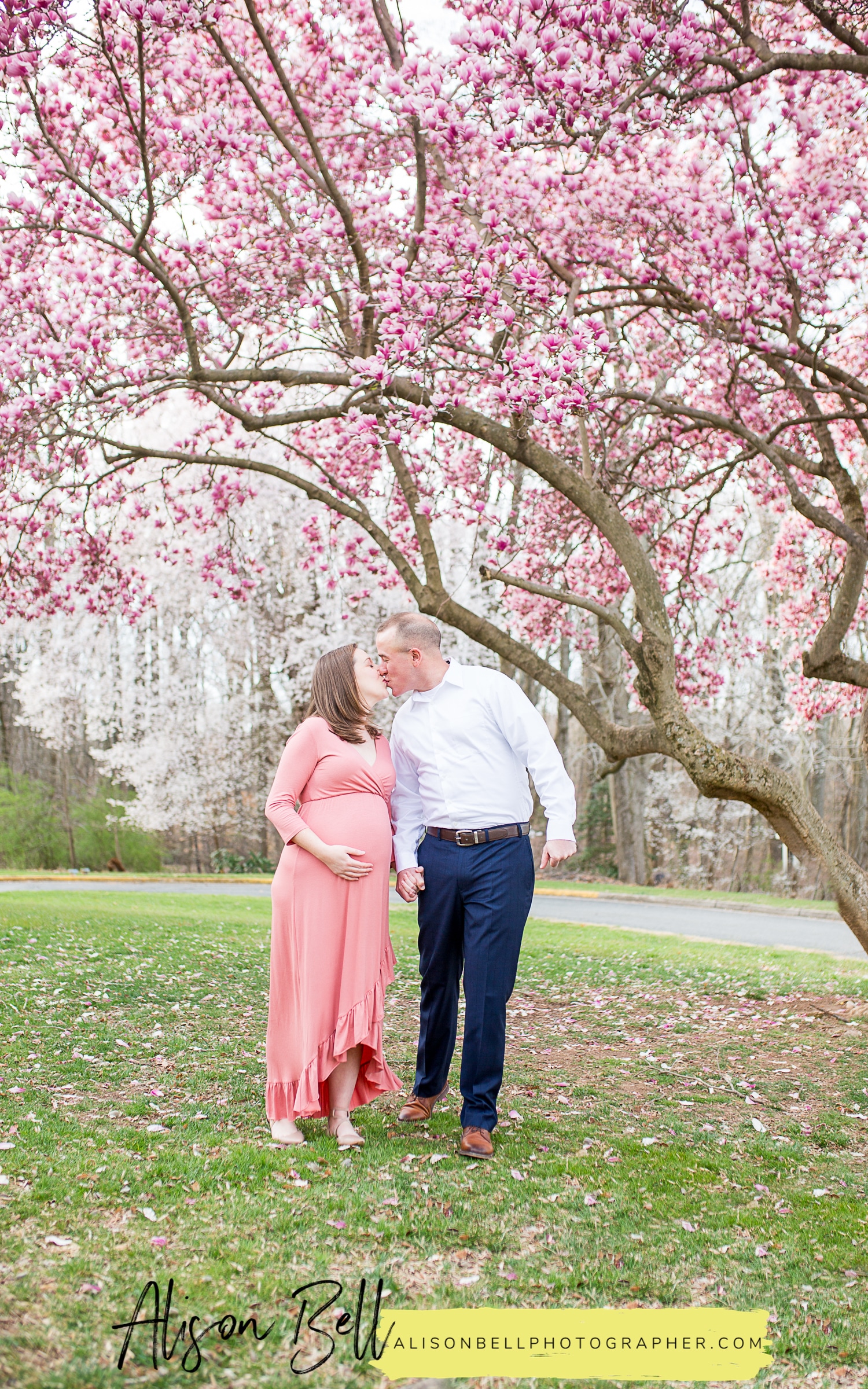Half Price Couples Maternity Mini Sessions on Marine Corps Base Quantico with Spring saucer magnolia blossoms by Alison Bell, Photographer. Alisonbellphotographer.com