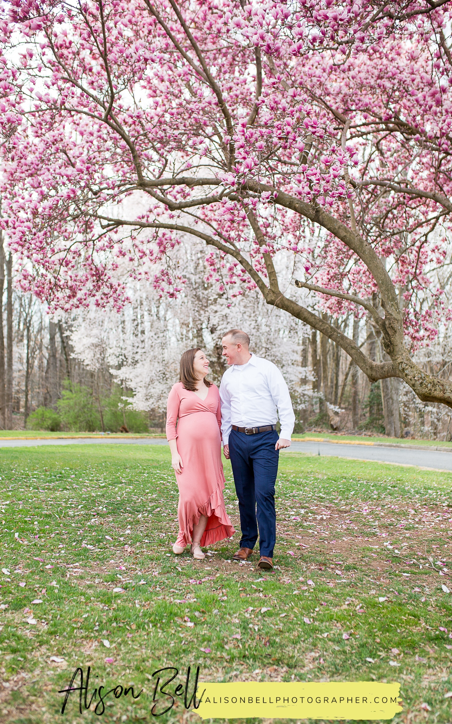 Half Price Couples Maternity Mini Sessions on Marine Corps Base Quantico with Spring saucer magnolia blossoms by Alison Bell, Photographer. Alisonbellphotographer.com