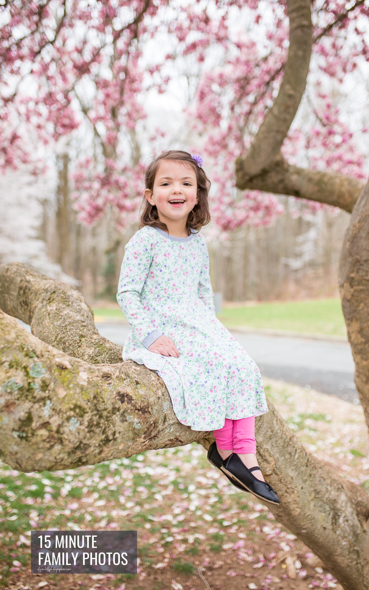 Half Price Couples Family Mini Sessions on Marine Corps Base Quantico with Spring saucer magnolia blossoms by Alison Bell, Photographer. Alisonbellphotographer.com