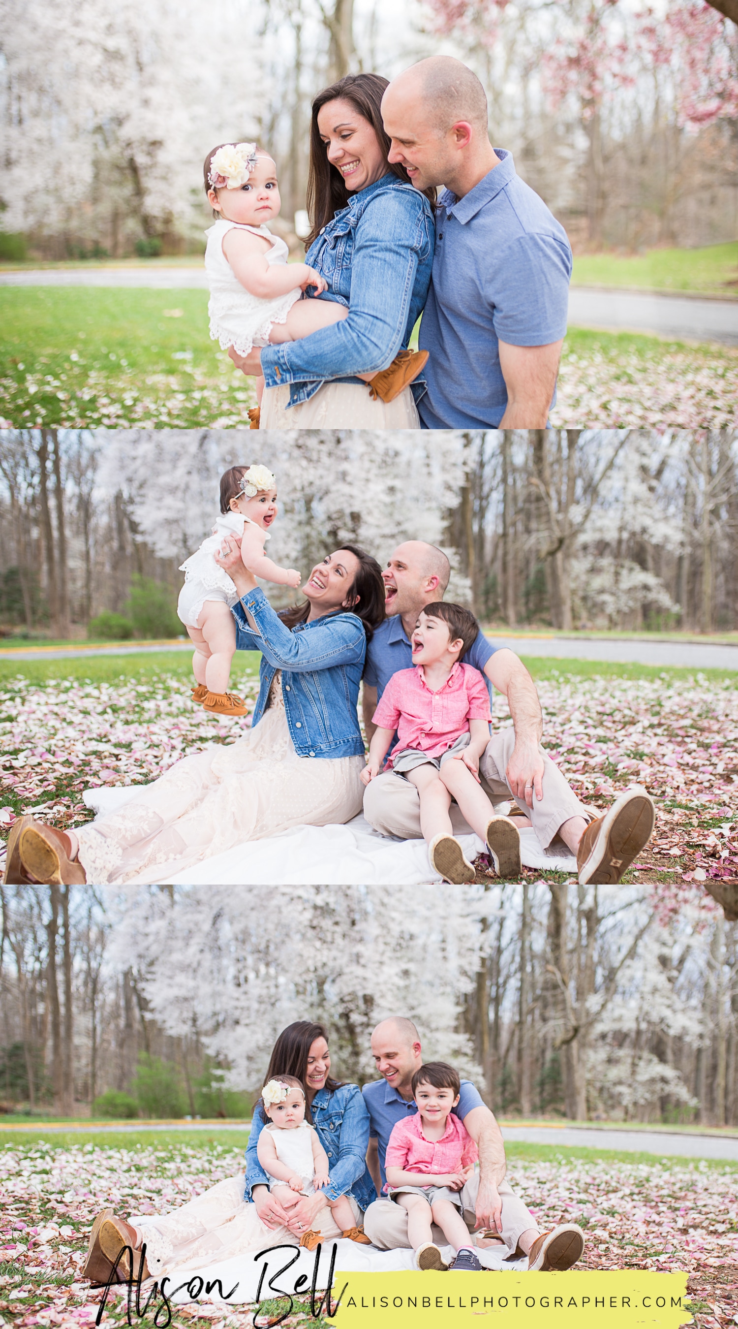 Baby's first birthday and cake smash photo session with the whole family by Alison Bell, Photographer on Quantico Marine Corps base. alisonbellphotographer.com