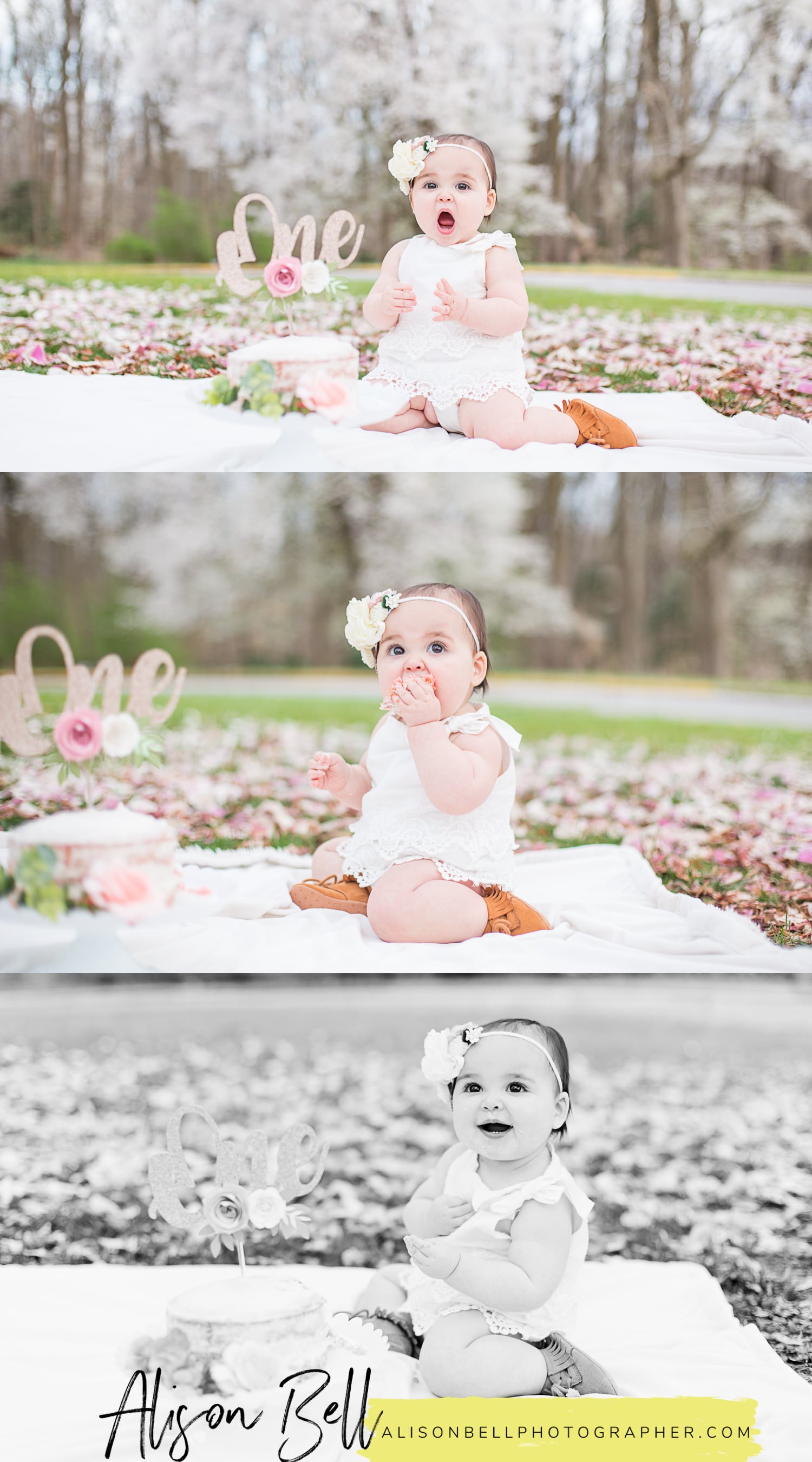 Baby's first birthday and cake smash photo session with the whole family by Alison Bell, Photographer on Quantico Marine Corps base. alisonbellphotographer.com
