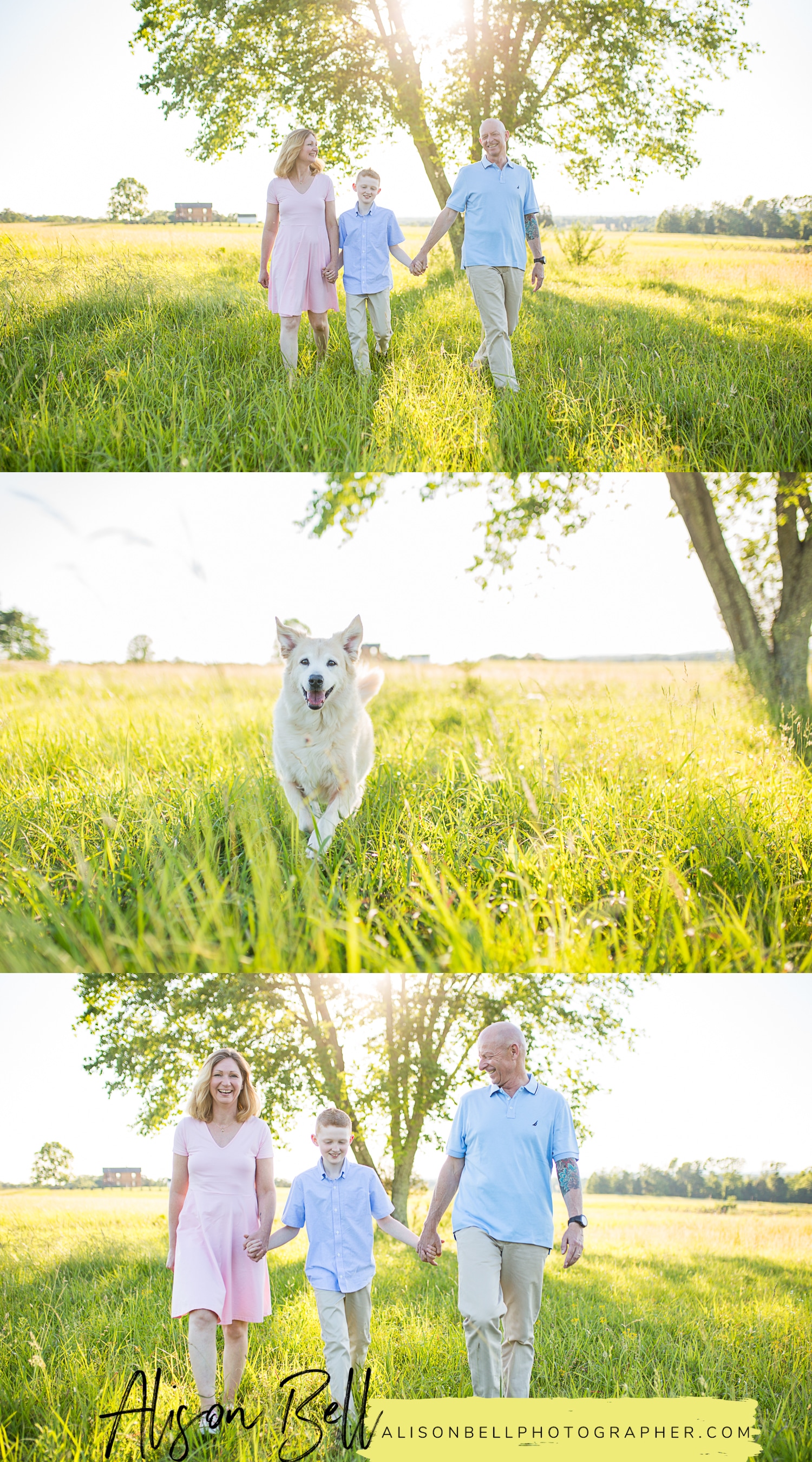 Family of 3, older child, 10 year old, with dogs at Manassas Battlefield in Virginia by Alison Bell, Photographer, alisonbellphotographer.com