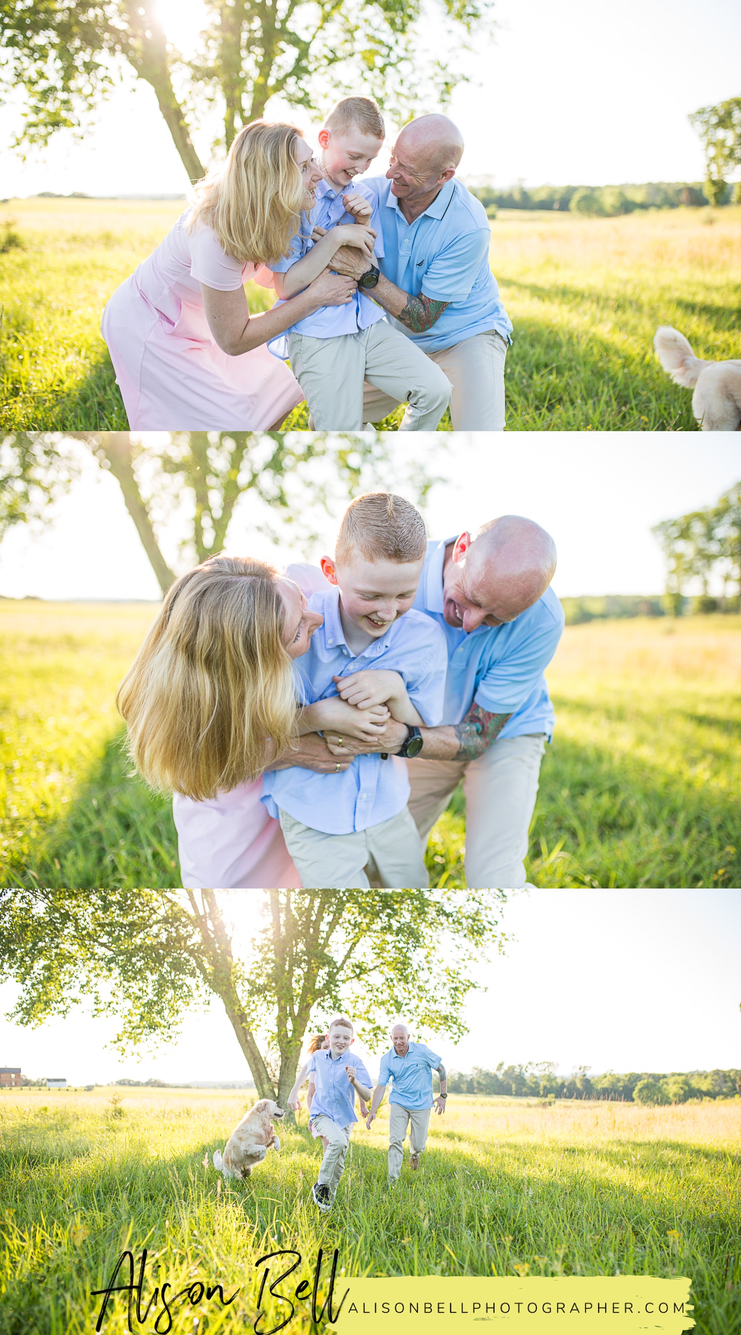 Family of 3, older child, 10 year oldm with dogs at Manassas Battlefield in Virginia by Alison Bell, Photographer, alisonbellphotographer.com