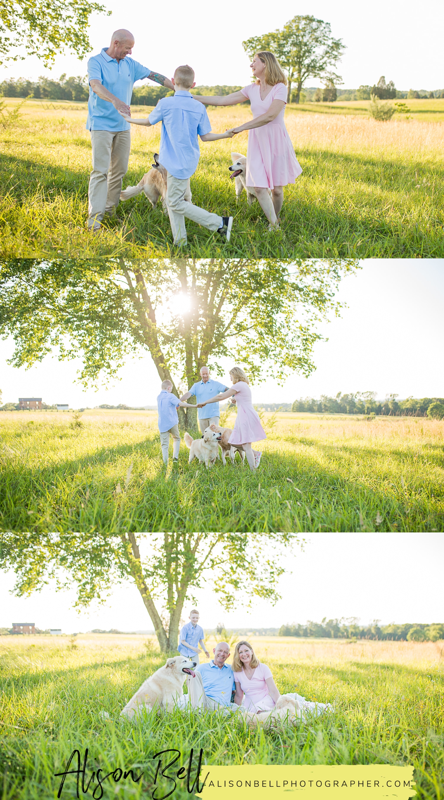 Family of 3, older child, 10 year old, with dogs at Manassas Battlefield in Virginia by Alison Bell, Photographer, alisonbellphotographer.com