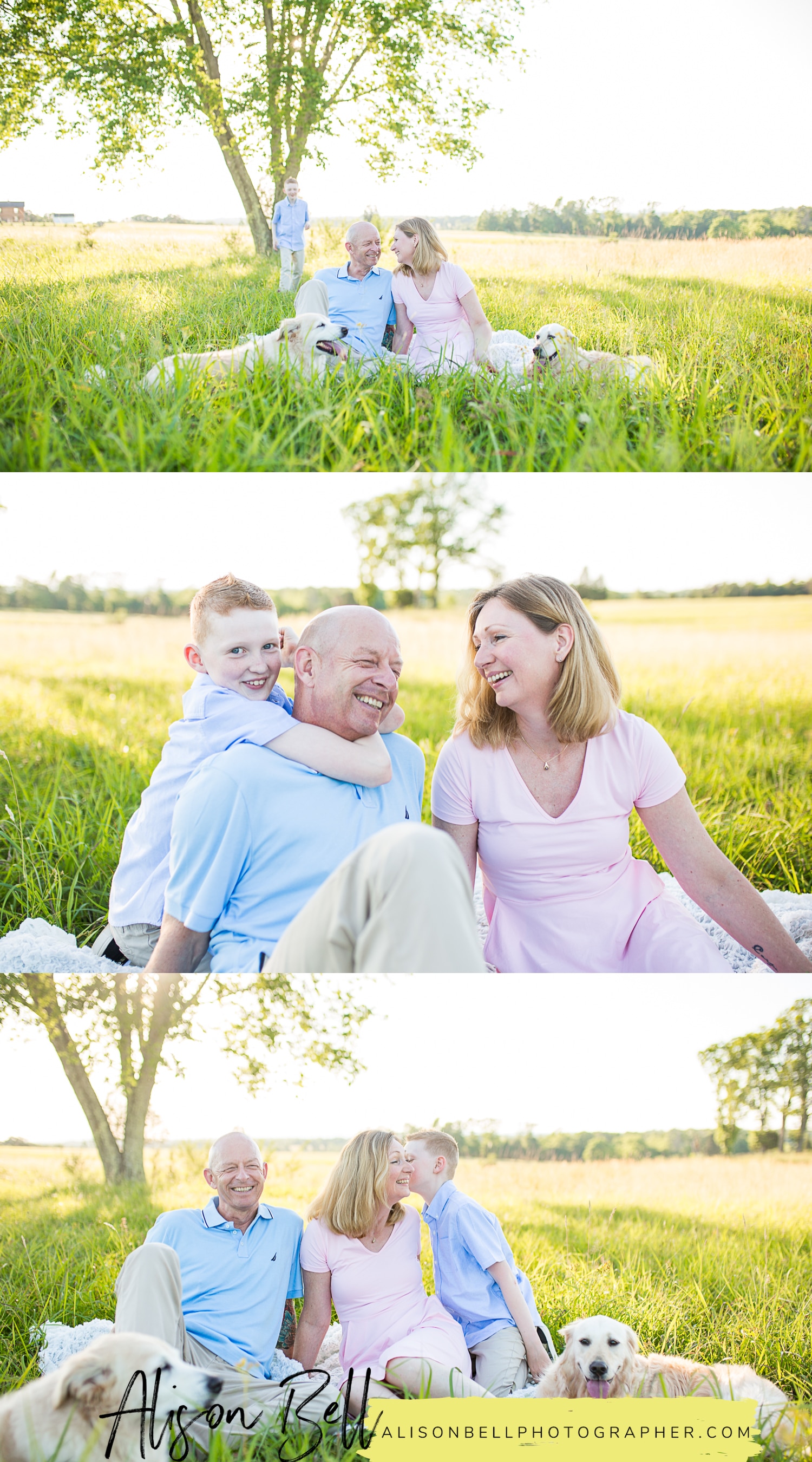 Family of 3, older child, 10 year old, with dogs at Manassas Battlefield in Virginia by Alison Bell, Photographer, alisonbellphotographer.com