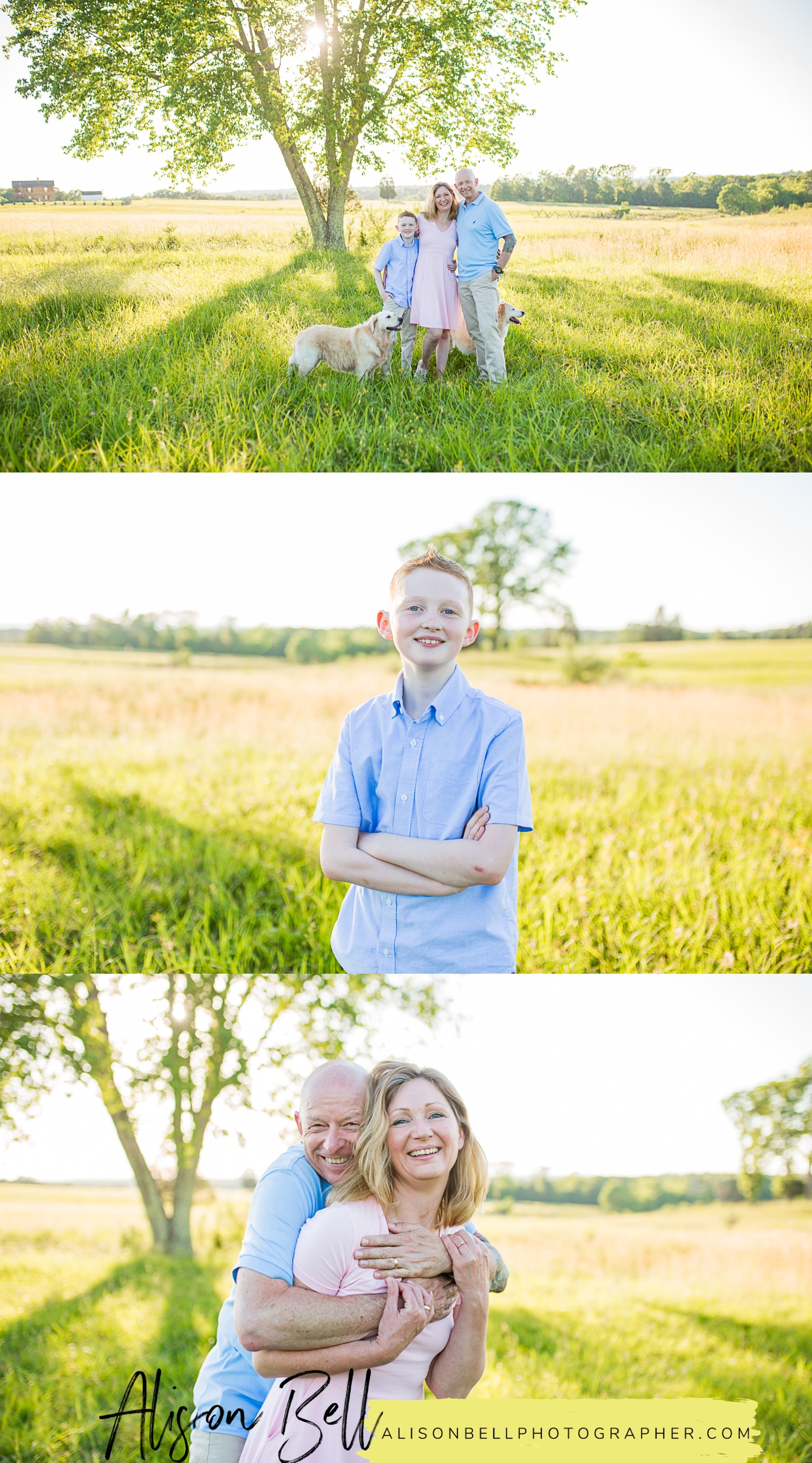 Family of 3, older child, 10 year old, with dogs at Manassas Battlefield in Virginia by Alison Bell, Photographer, alisonbellphotographer.com