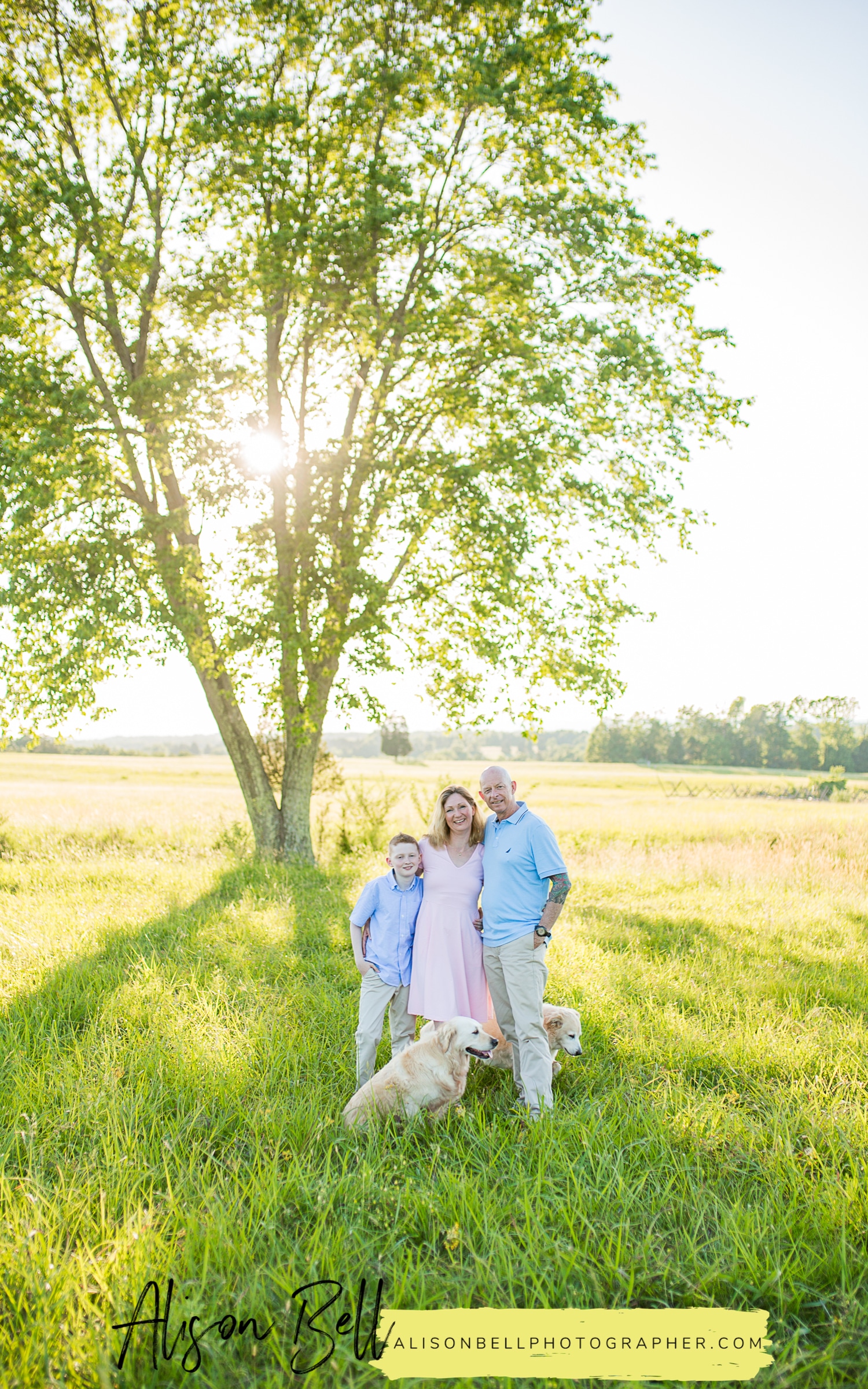 Family of 3, older child, 10 year old, with dogs at Manassas Battlefield in Virginia by Alison Bell, Photographer, alisonbellphotographer.com