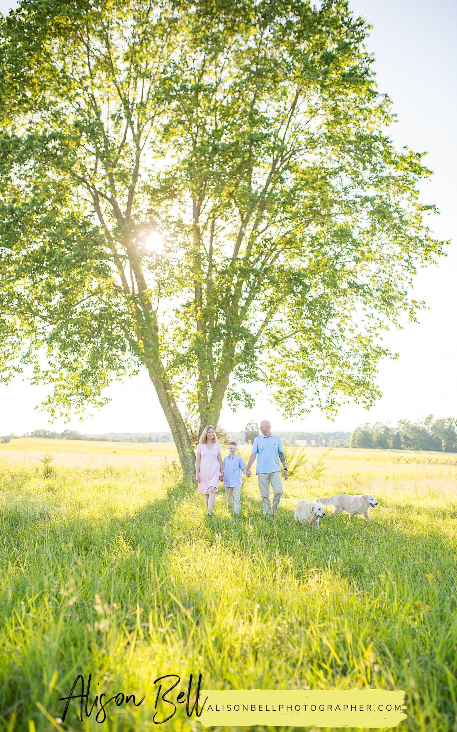 Family of 3, older child, 10 year old, with dogs at Manassas Battlefield in Virginia by Alison Bell, Photographer, alisonbellphotographer.com