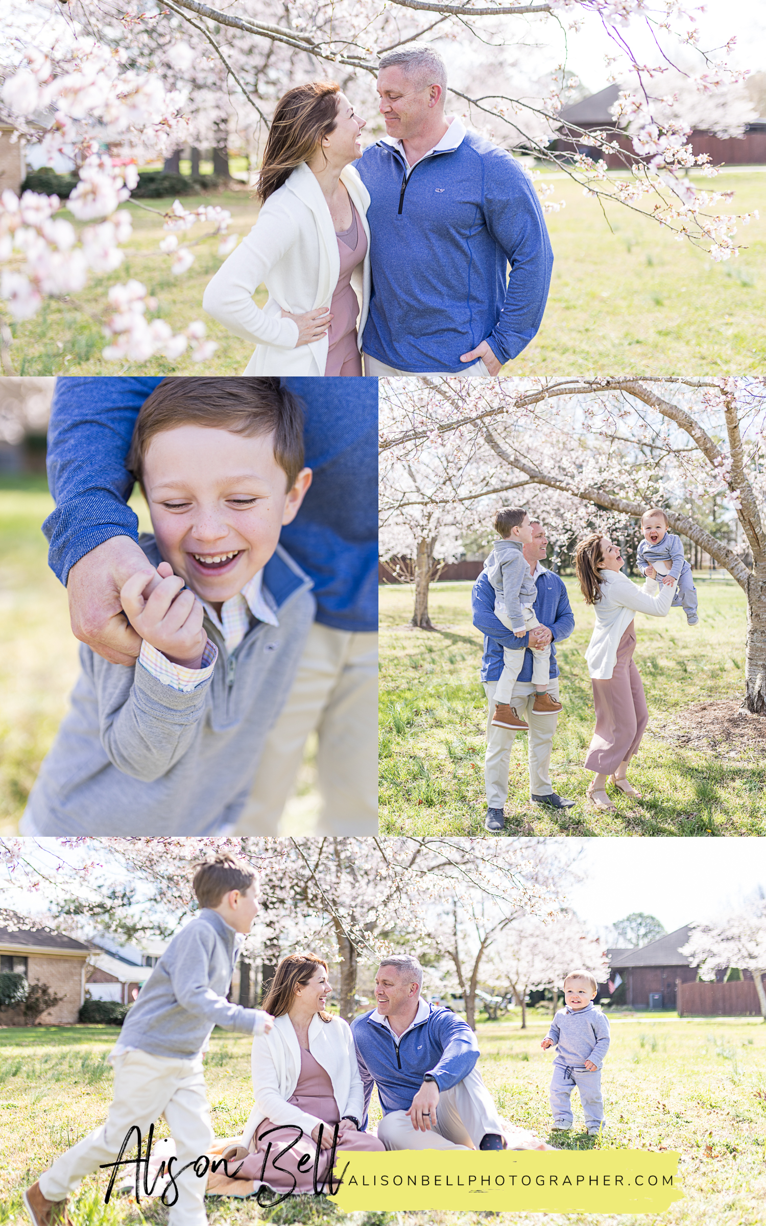 Spring cherry blossom family photos in a city park virginia beach, va by alison bell photographer
