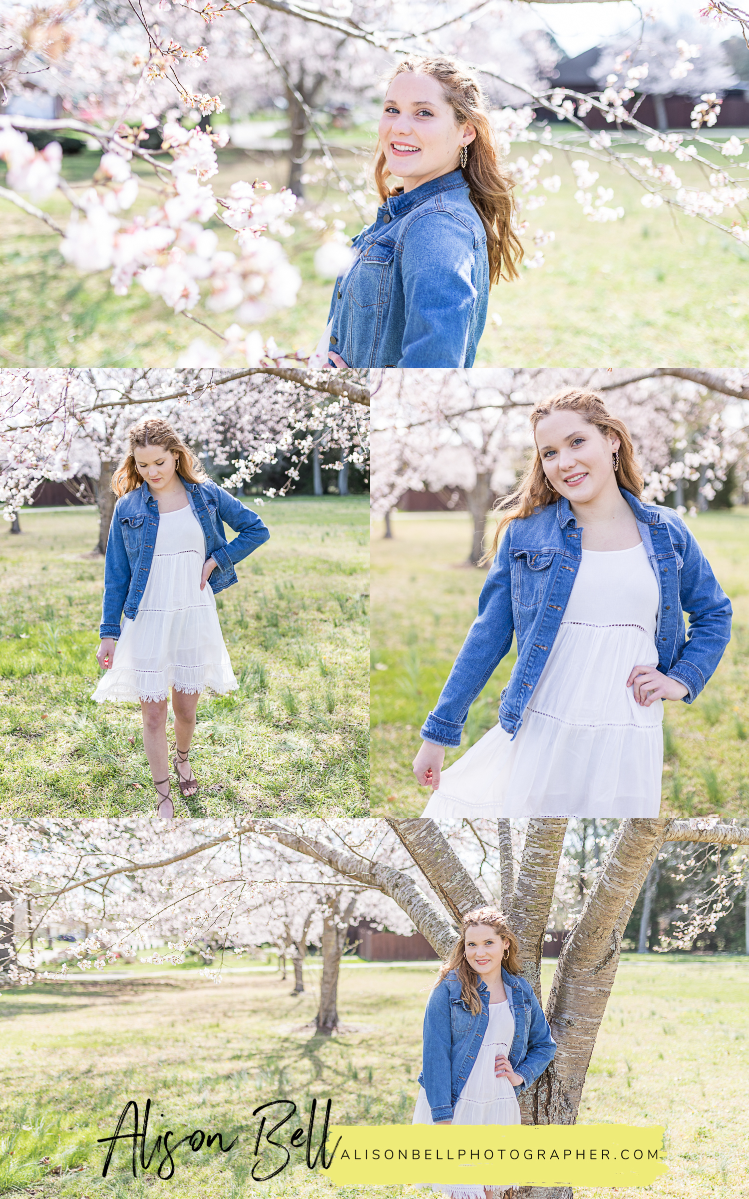 Spring senior photo session with cherry blossoms in virginia beach, va by alisonbell photographer