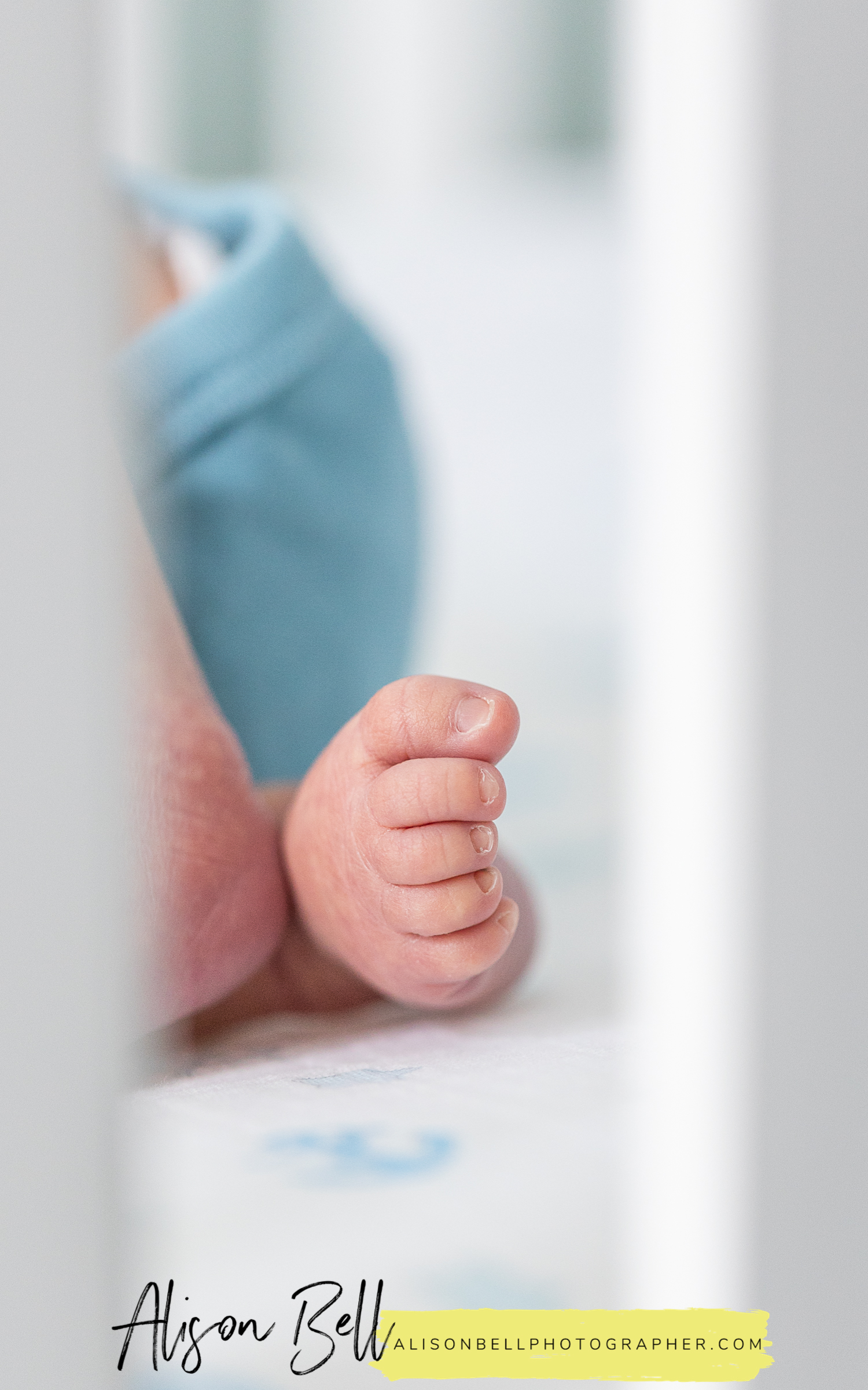 Newborn photos in client nursery