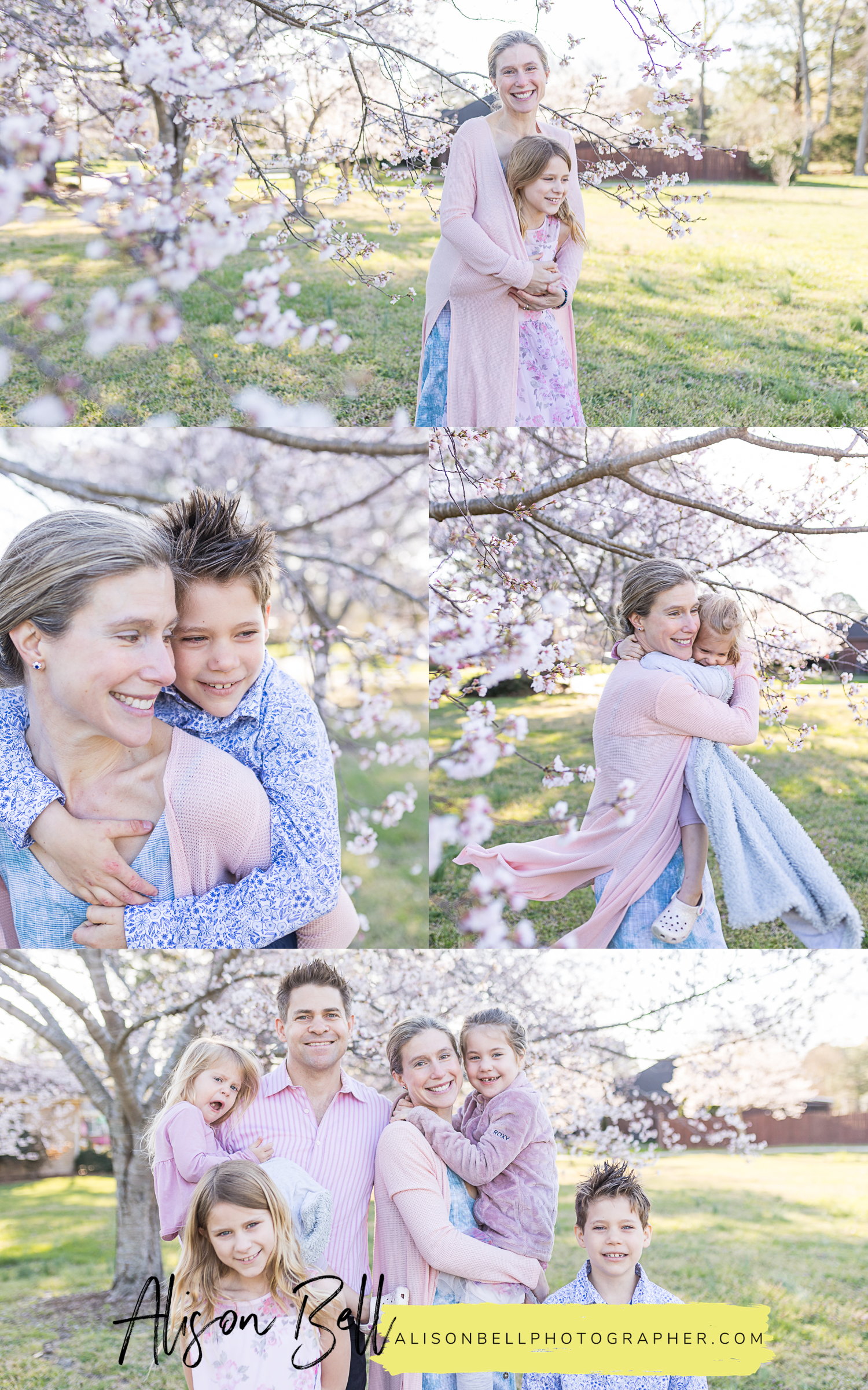 Spring cherry blossom family photos in a city park virginia beach, va by alison bell photographer