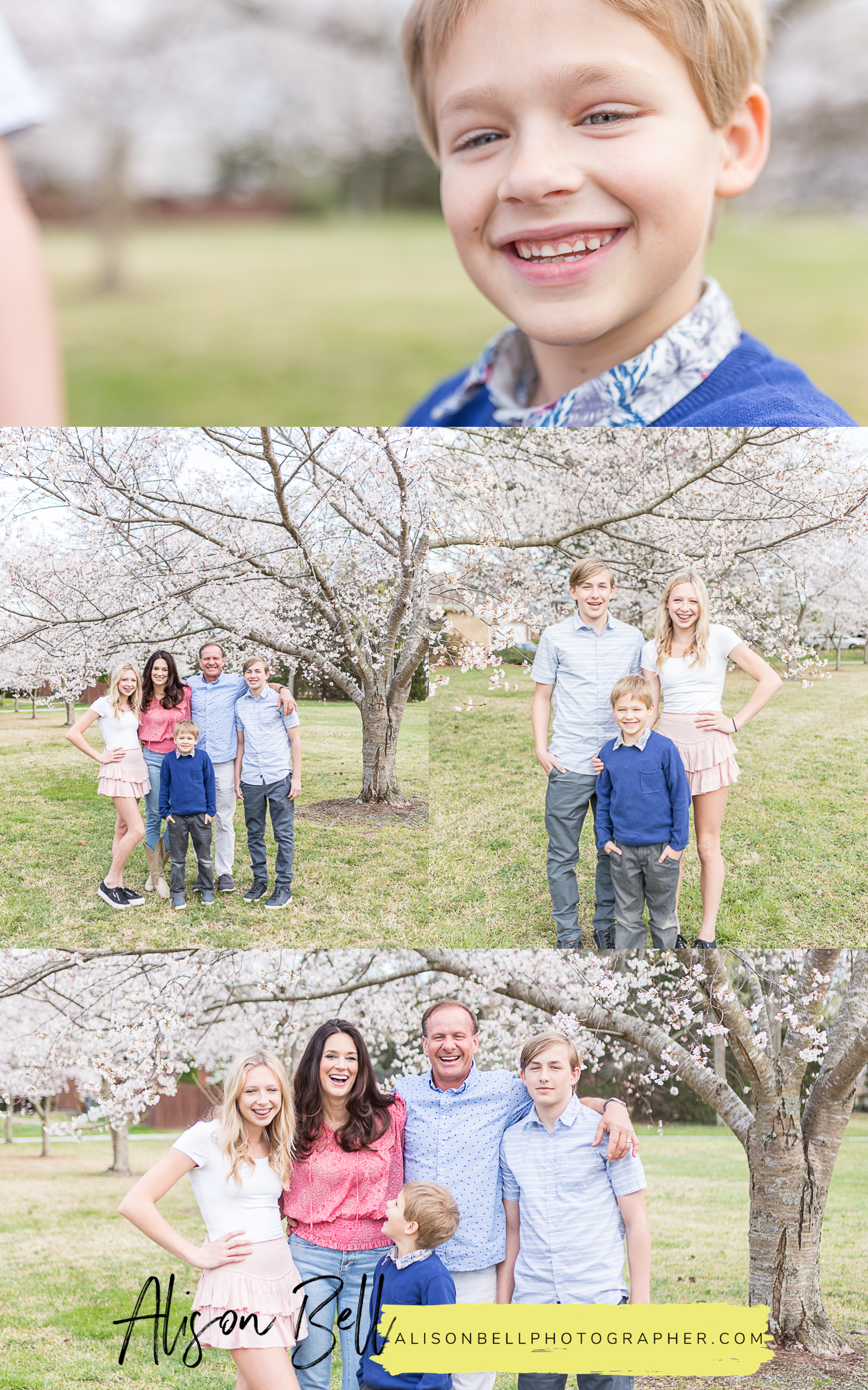 Spring cherry blossom family photos in a city park virginia beach, va by alison bell photographer