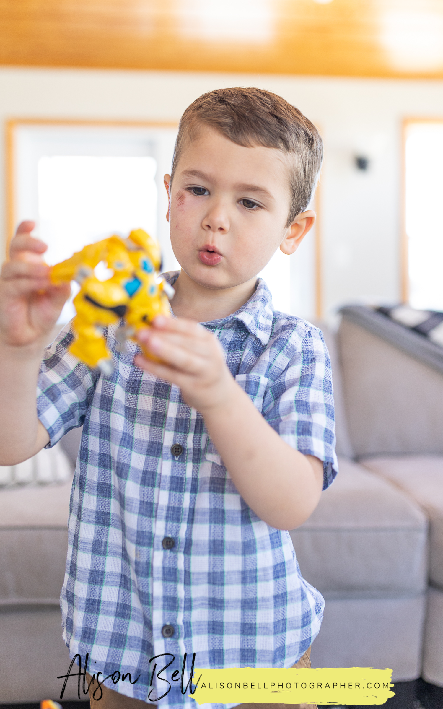 In home family family photos in virginia beach by alison bell photographer